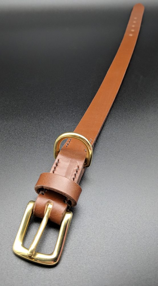 The Classic Dog Collar - Conker - Brass